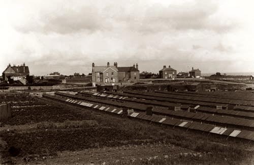 Allotments and Brickfield c 1910